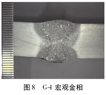 1717411097715188.jpg t8.jpg