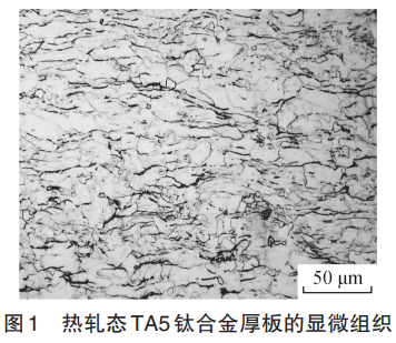 截圖20250719154029.png