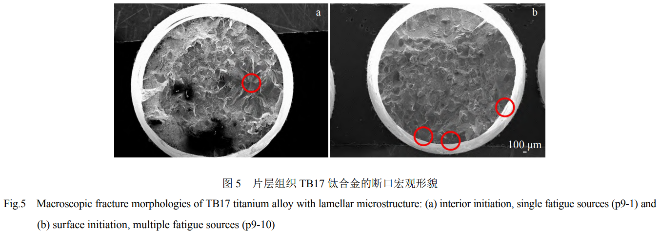截圖20251020154505.png