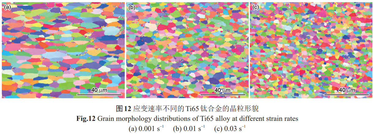 截圖20251021090835.png